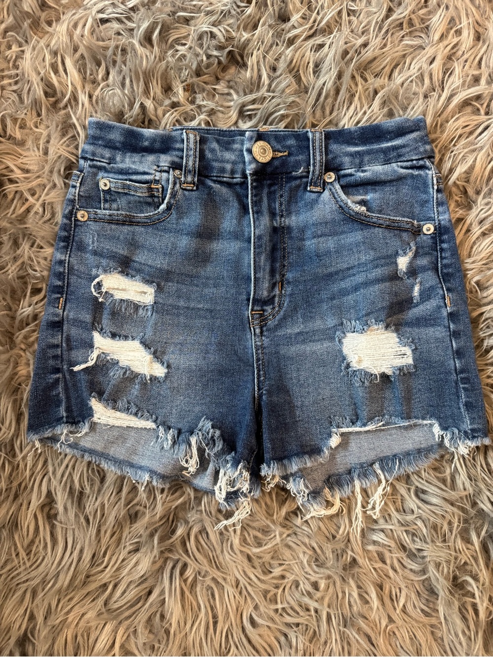American Eagle Outfitters Distressed Blue Jean Cutoff Shorts